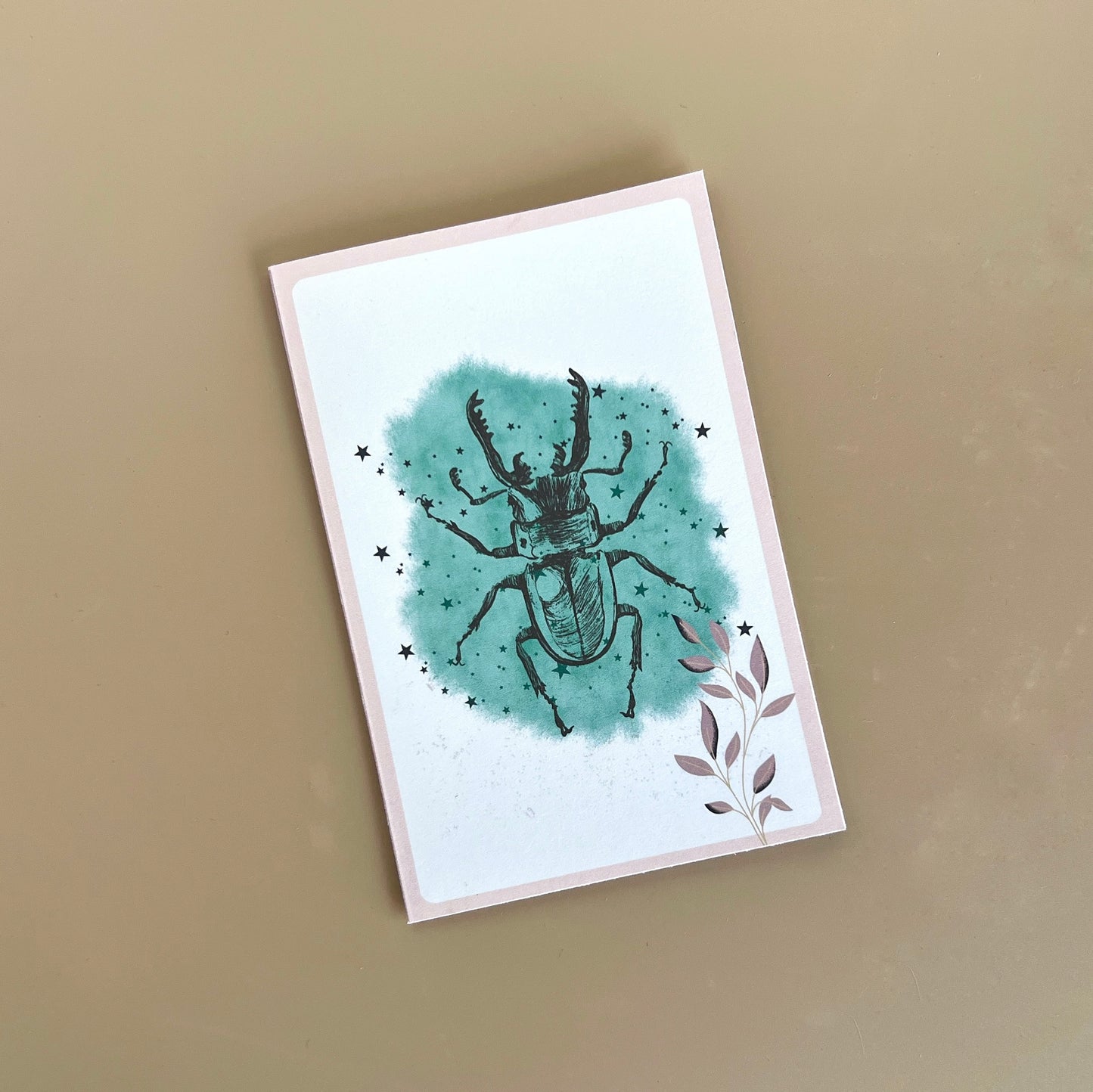 Notecards Blank 5pk CLEARANCE