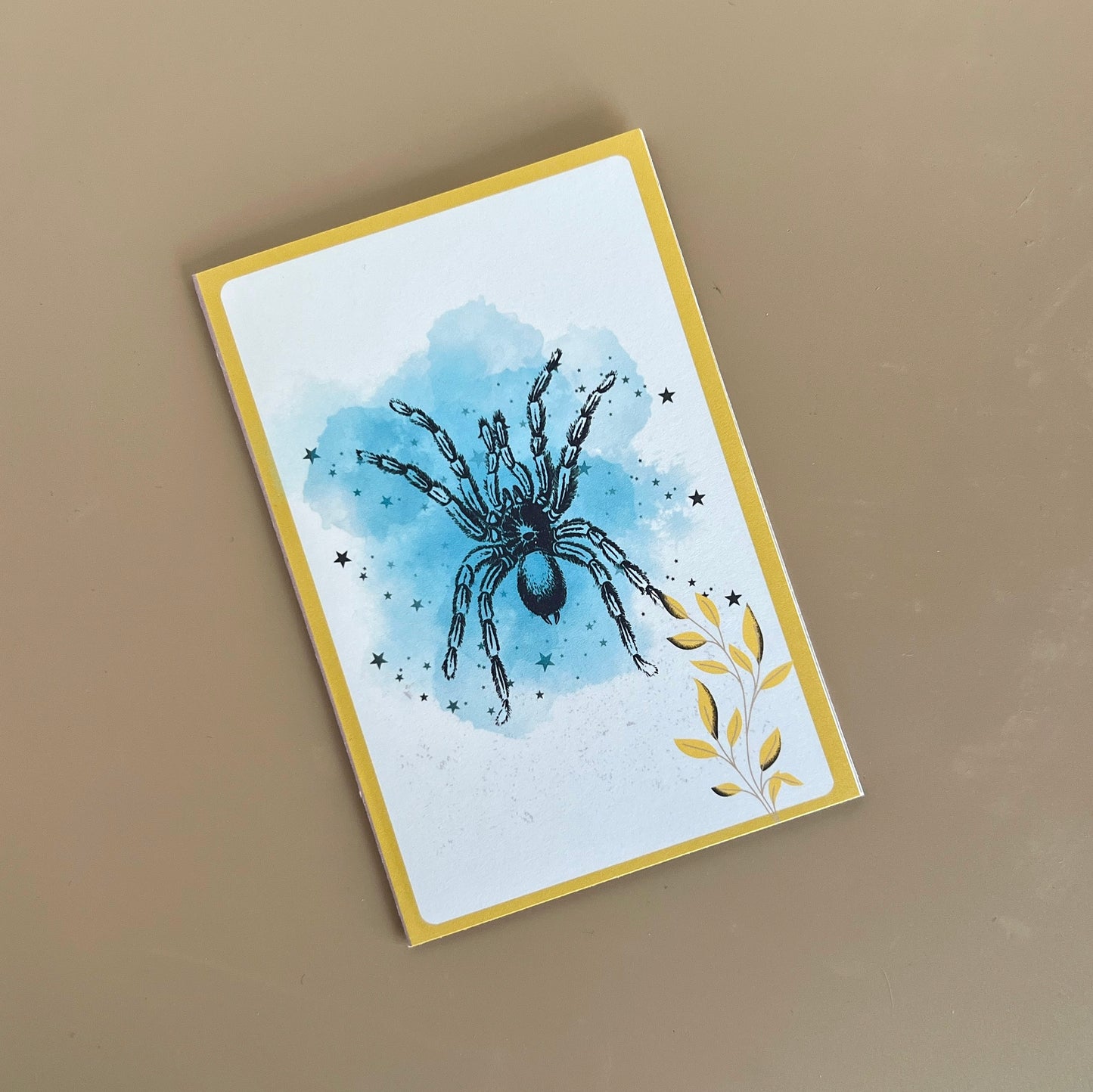 Notecards Blank 5pk CLEARANCE