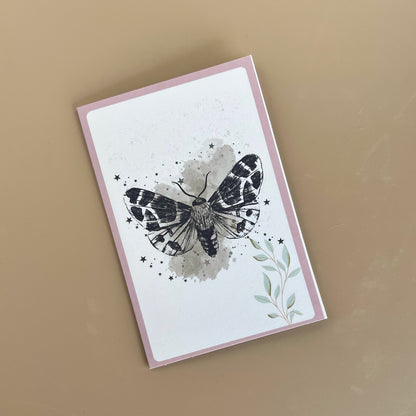 Notecards Blank 5pk  CLEARANCE